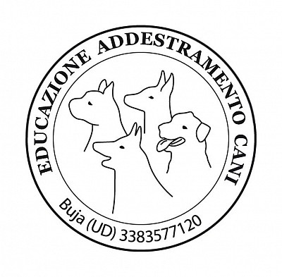 Educazione e addestramento cani