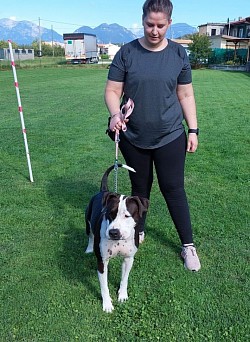 Nikita amstaff