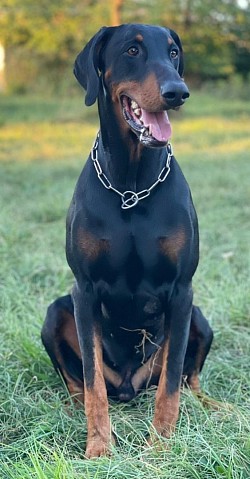 Xantos detto Santino