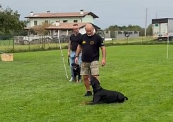 L'attenzione