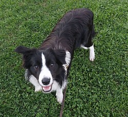 Perla 9 mesi Missilina