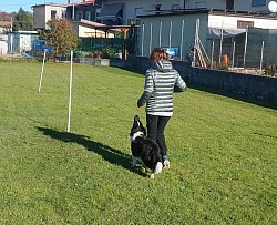 Perla in condotta