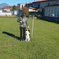 Perla il seduto