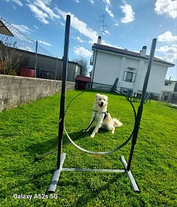 Spike 4 mesi!!!